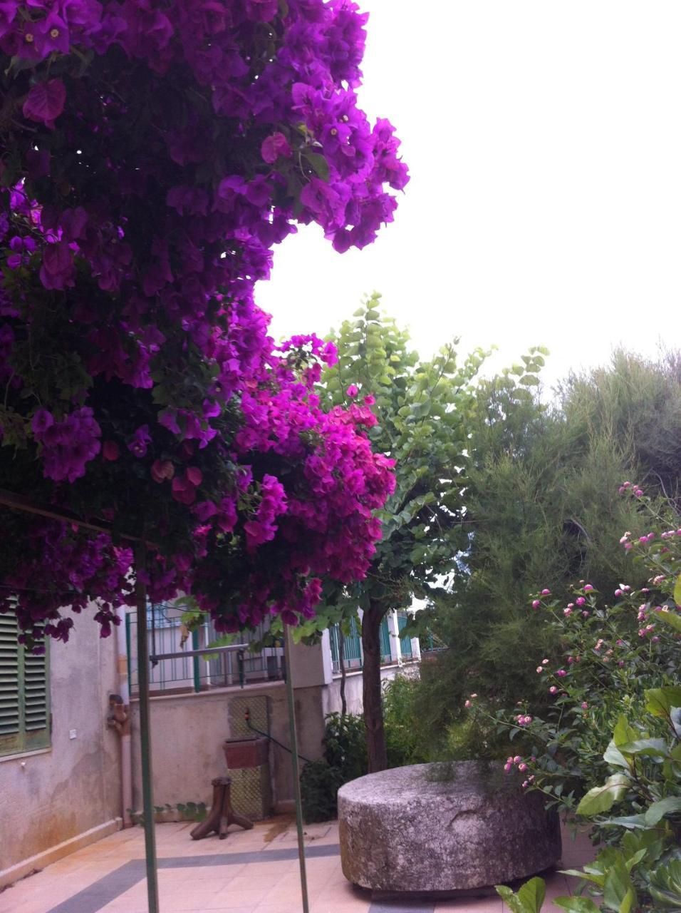 La Fattoria Guest House Sciacca Eksteriør bilde